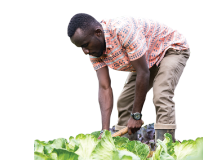 A Student working on the school farm