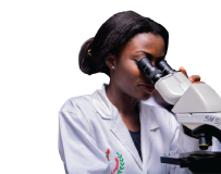 A student working in a laboratory