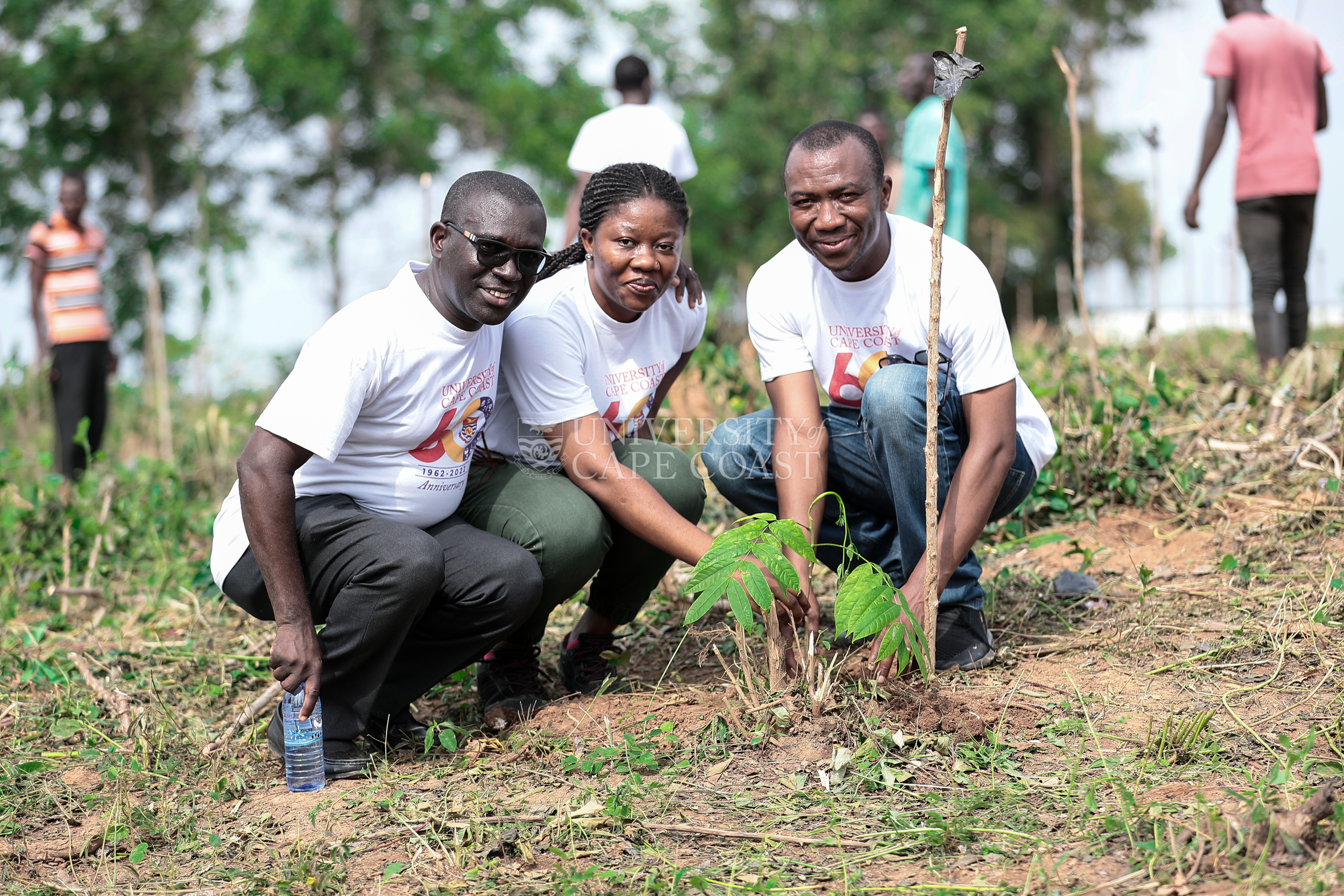 some participants planting tree seedlings during the Green Ghana Project